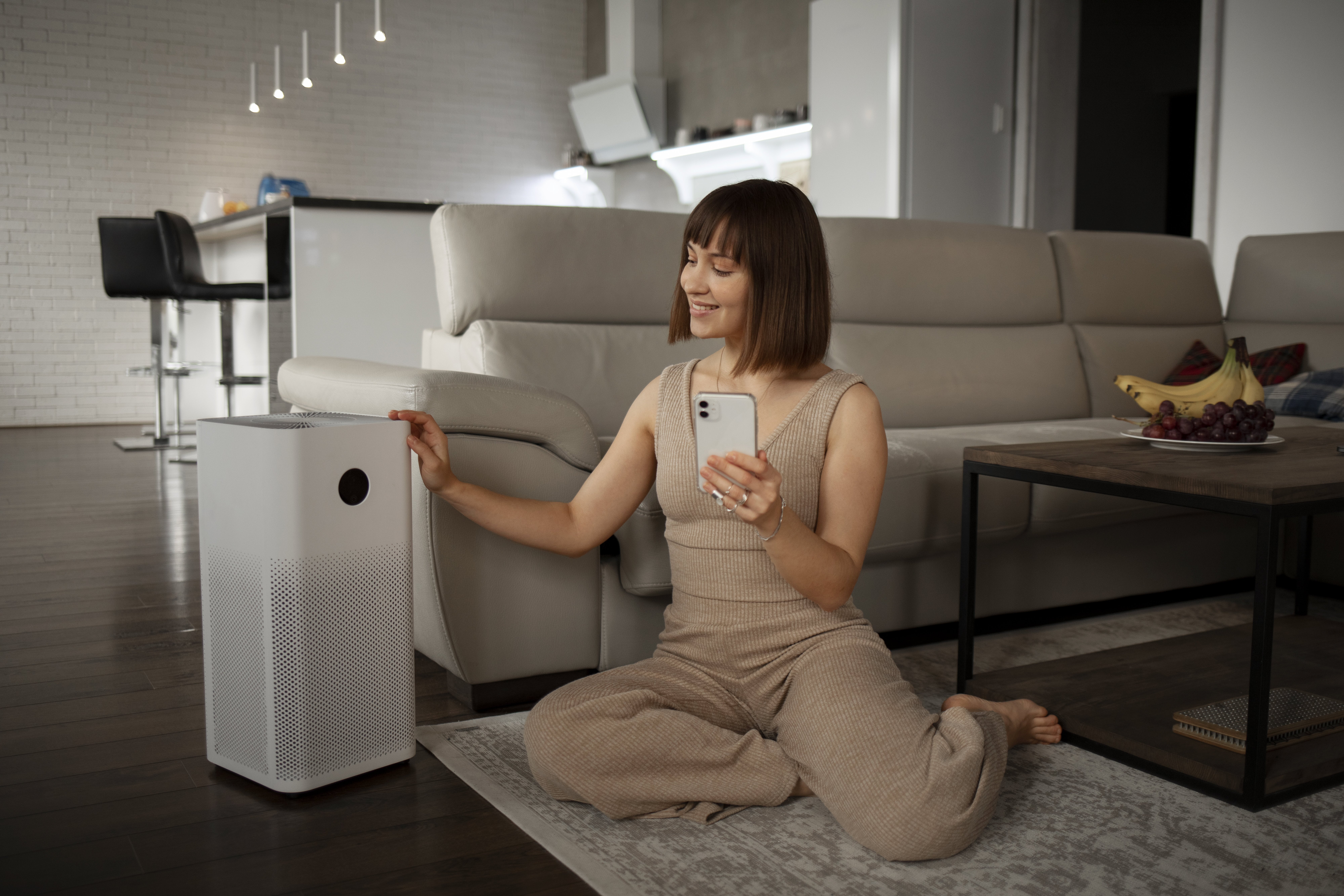 Air Purifiers with Humidifiers